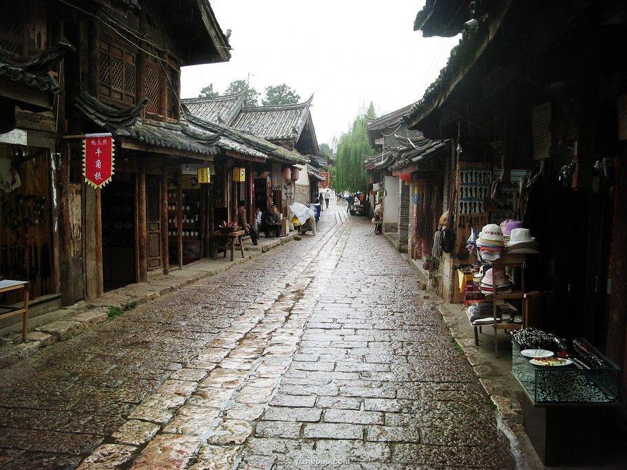 奔跑的兔子